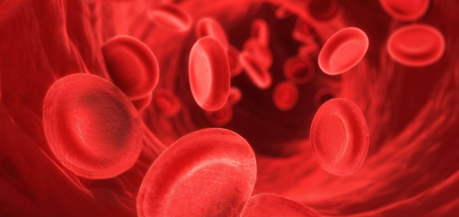 Curso a Distancia: Principios básicos teóricos y prácticos de Hemostasia